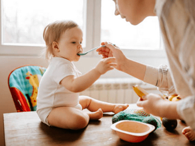 婴幼儿辅食领域